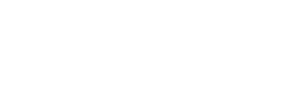 AGN Ford